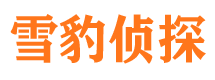 逊克市私家侦探